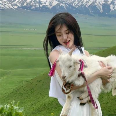 花仙子森林寻友记