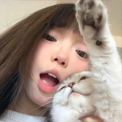 机械危情